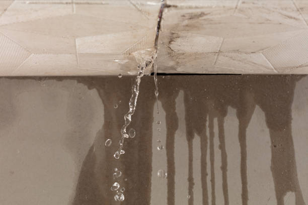 Professional Water Damage Repair technician working in San Leandro, CA